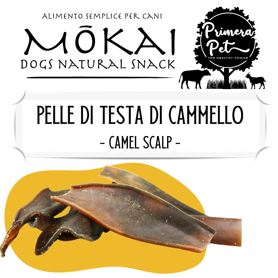 Mōkai pelle di testa di cammello