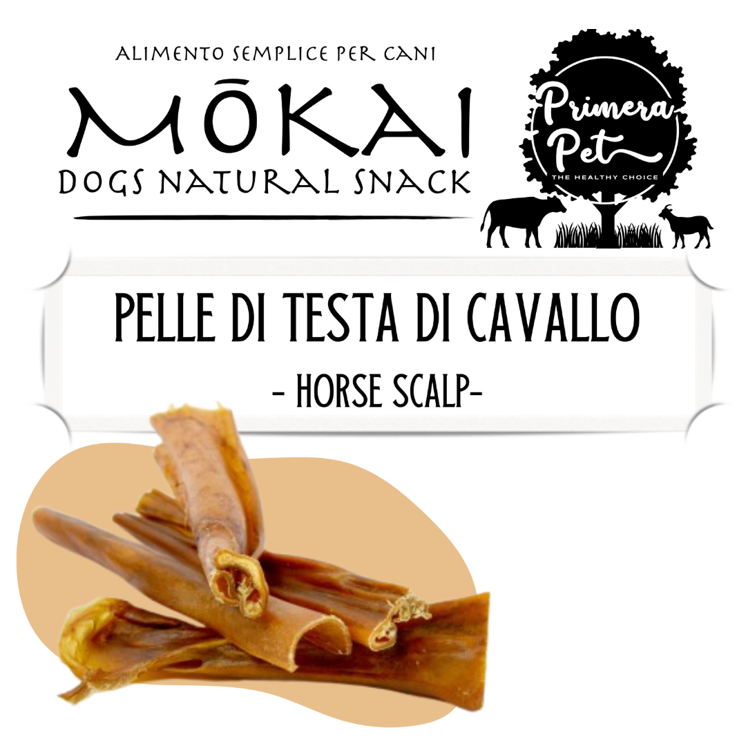 Mōkai pelle di testa di cavallo