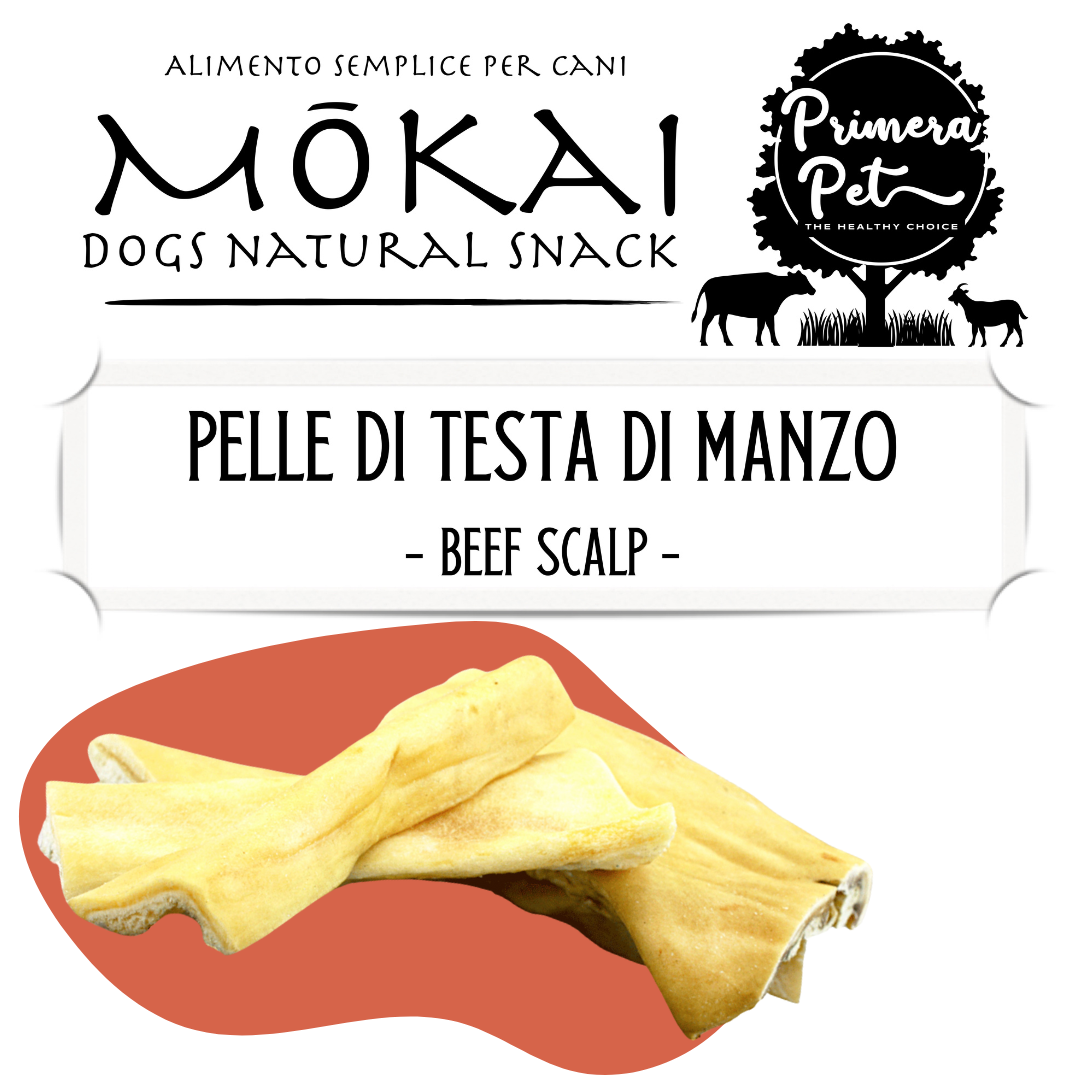 Mōkai pelle di testa di manzo